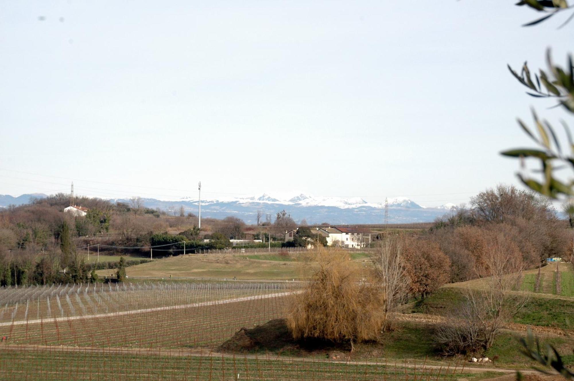 Seiterre Agriturismo Tenuta San Leone Valeggio sul Mincio Dış mekan fotoğraf