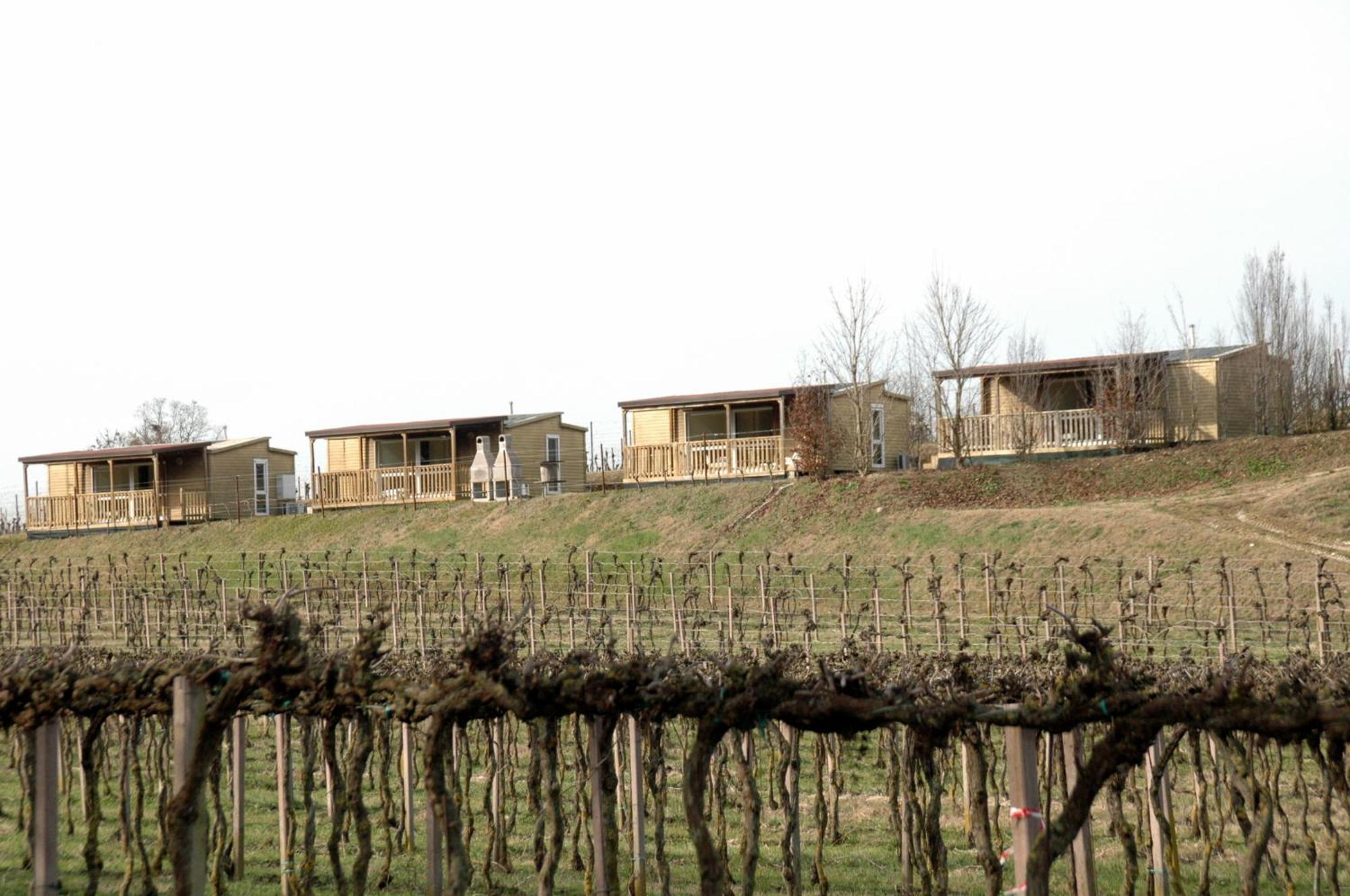Seiterre Agriturismo Tenuta San Leone Valeggio sul Mincio Dış mekan fotoğraf