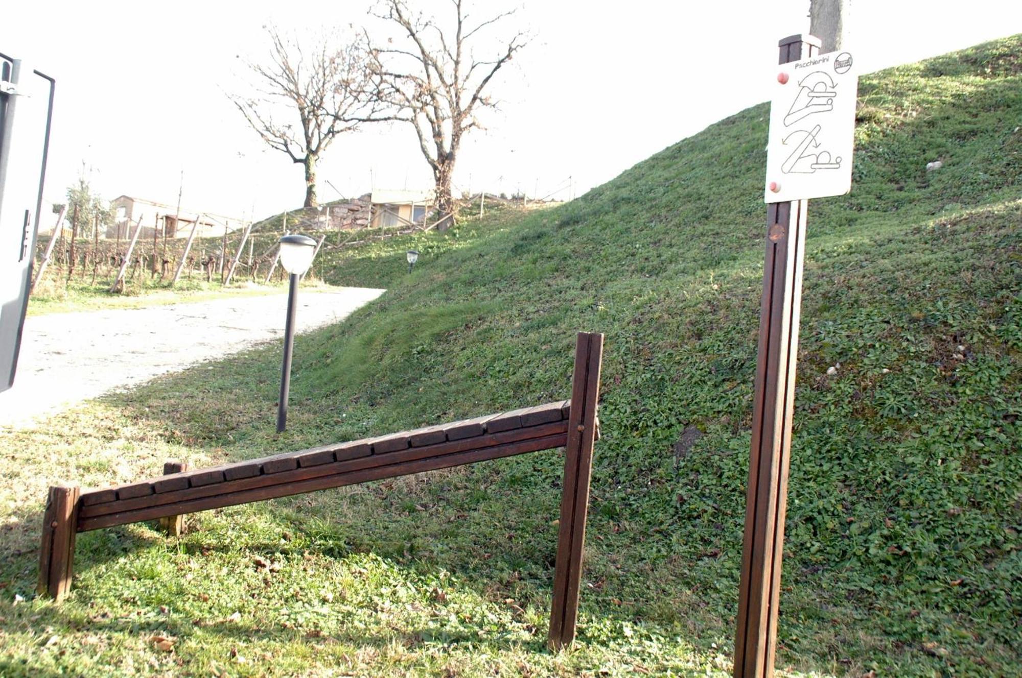 Seiterre Agriturismo Tenuta San Leone Valeggio sul Mincio Dış mekan fotoğraf