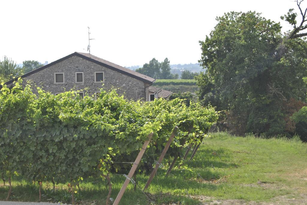 Seiterre Agriturismo Tenuta San Leone Valeggio sul Mincio Dış mekan fotoğraf