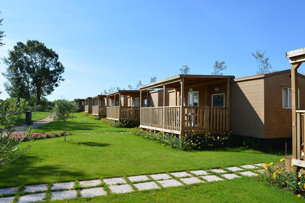 Seiterre Agriturismo Tenuta San Leone Valeggio sul Mincio Dış mekan fotoğraf