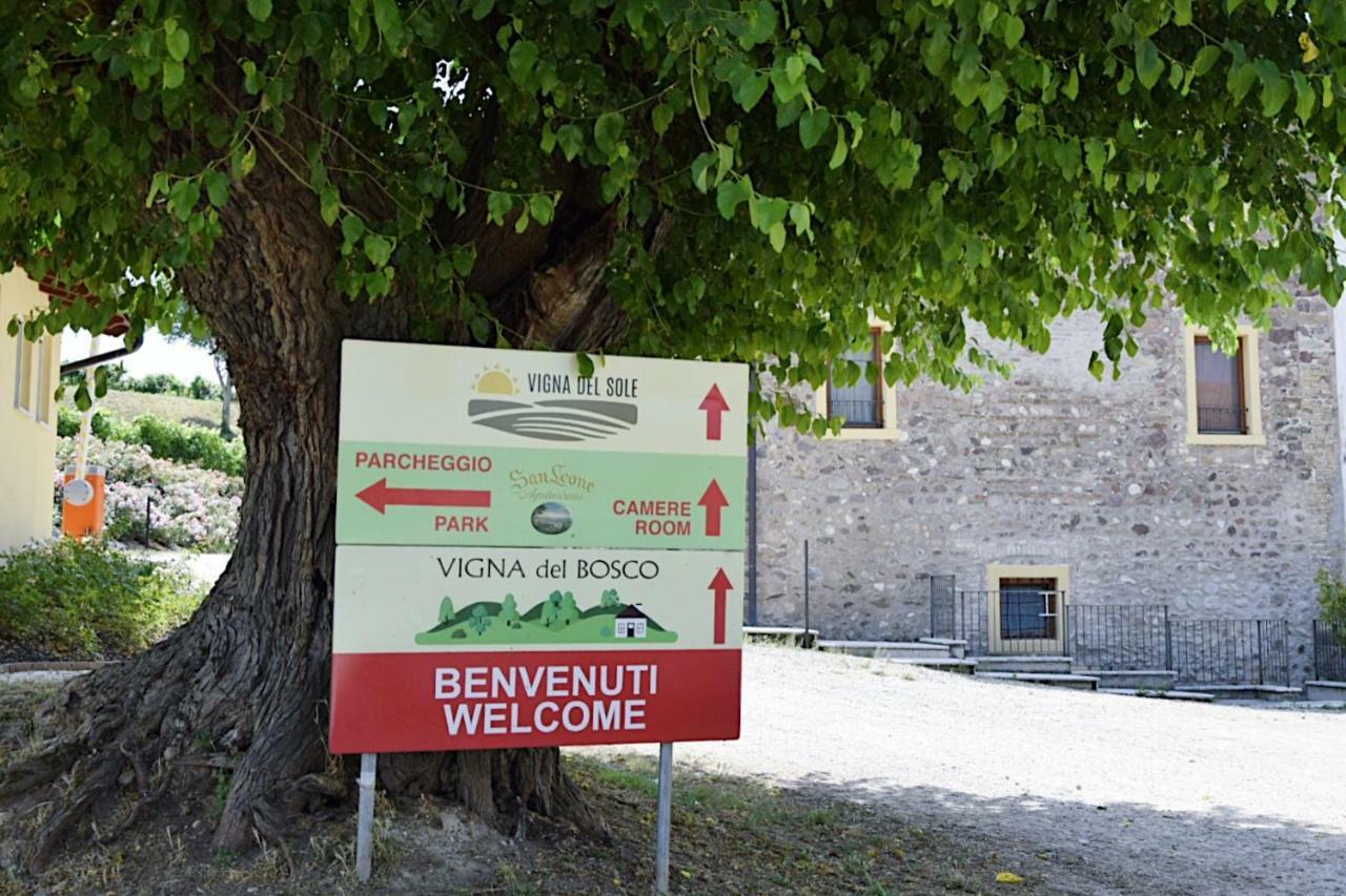 Seiterre Agriturismo Tenuta San Leone Valeggio sul Mincio Dış mekan fotoğraf