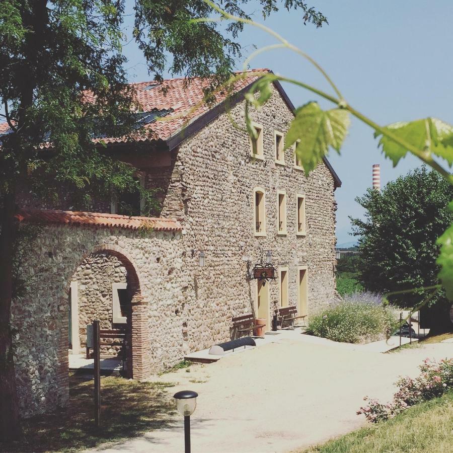 Seiterre Agriturismo Tenuta San Leone Valeggio sul Mincio Dış mekan fotoğraf